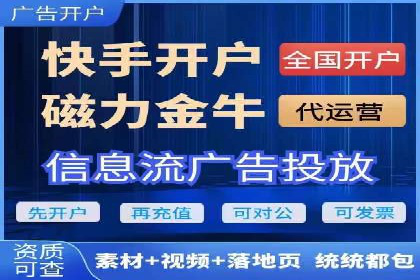 知名SEM运营公司实战案例解析
